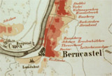 Vineyard in Bernkastel